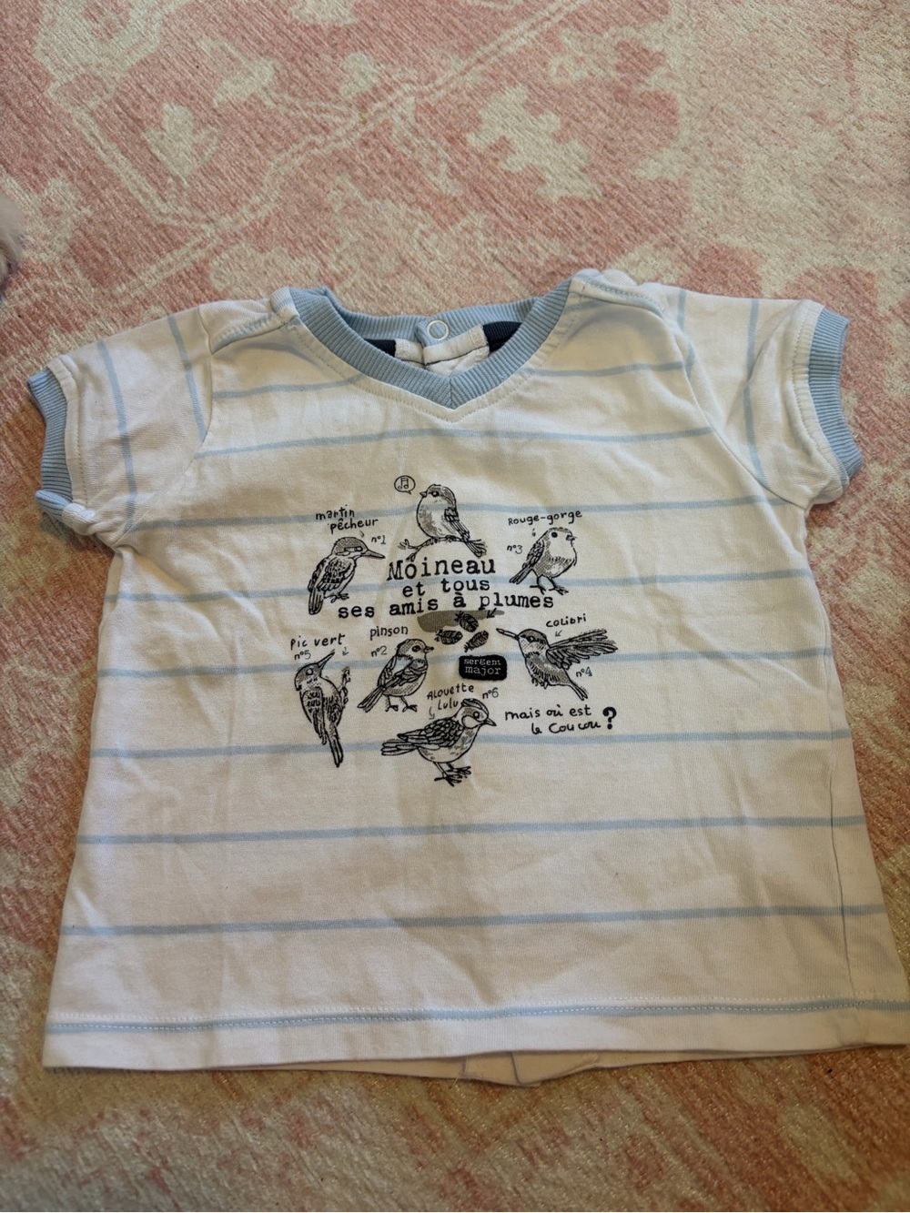 French baby Short Sleeve Stripe Tee with Bird Graphic - Light Blue